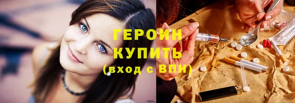 индика Бородино