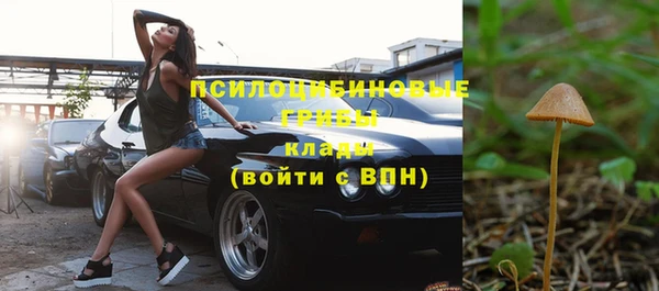 индика Бородино