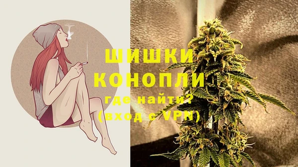 spice Бронницы