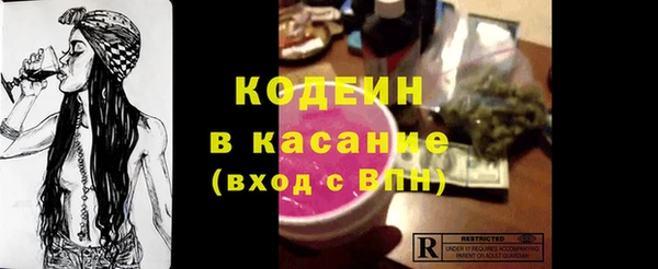 индика Бородино