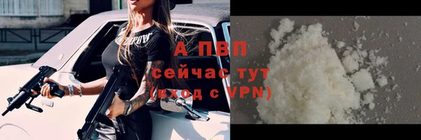 индика Бородино