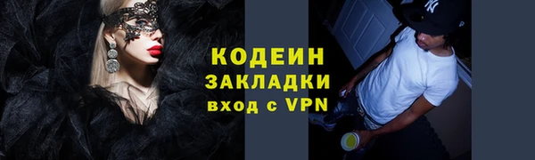 индика Бородино