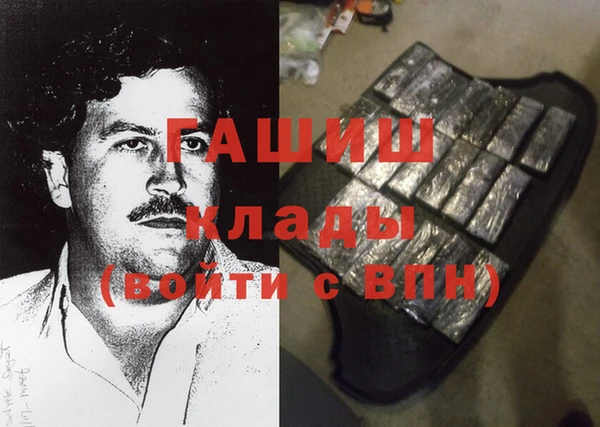 индика Бородино