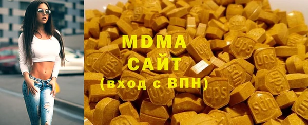 индика Бородино