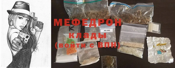 индика Бородино