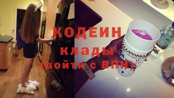индика Бородино