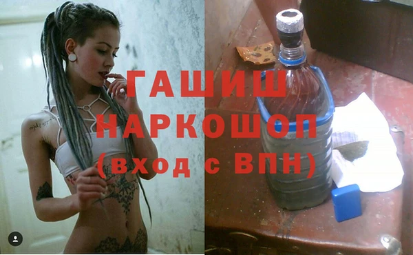 индика Бородино