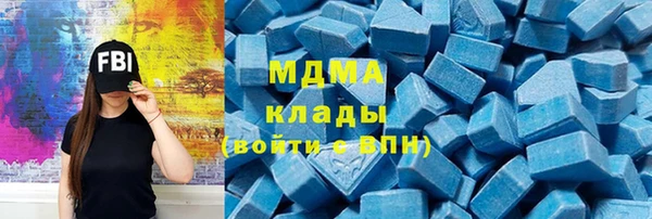 индика Бородино