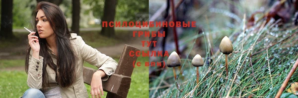 дмт Бугульма