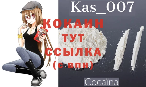 индика Бородино