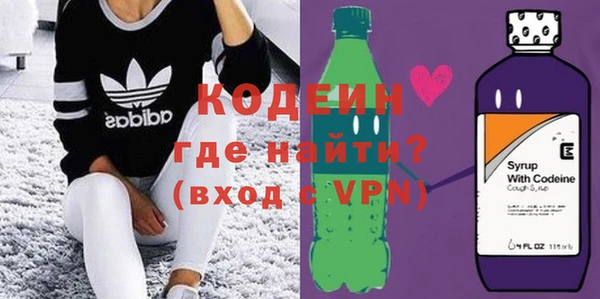 индика Бородино