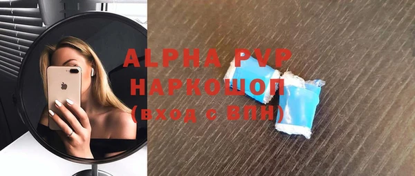 индика Бородино