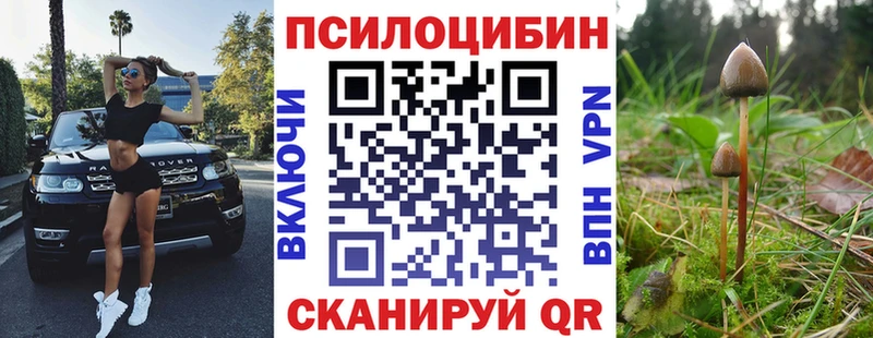 купить  цена  Пятигорск  Псилоцибиновые грибы Magic Shrooms 